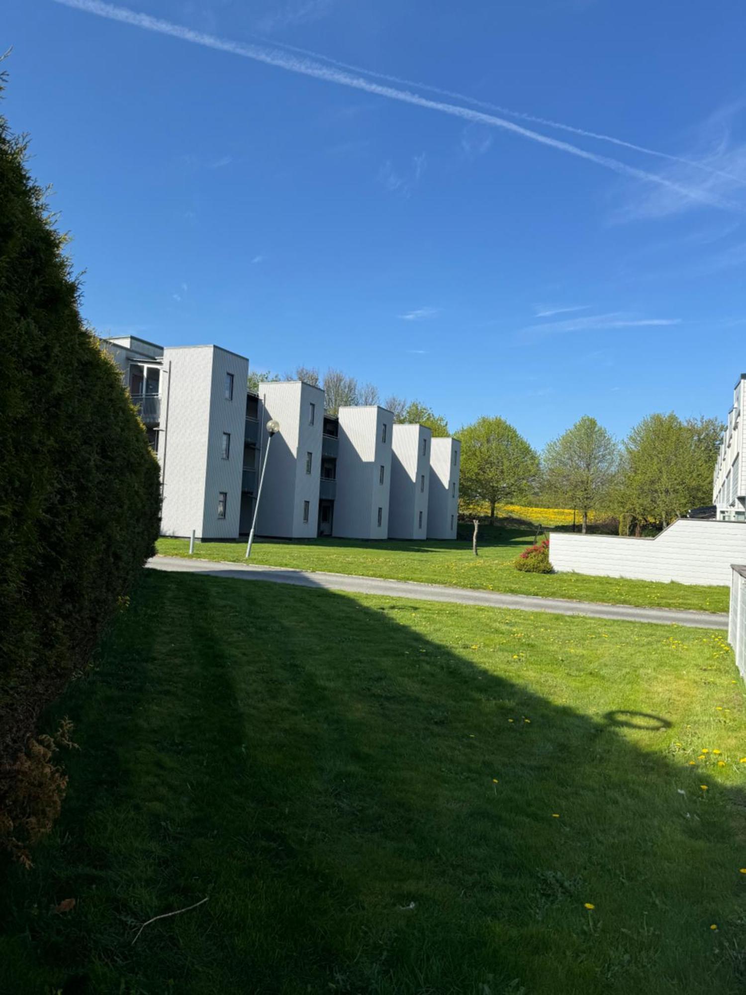Private In Hundvag *